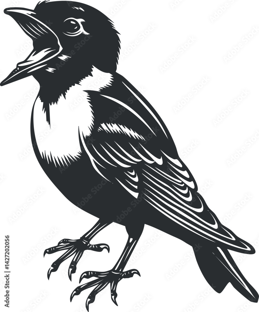 Naklejka premium A detailed black and white illustration of a singing bird with an open beak.