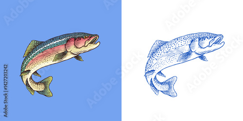 Rainbow trout collection with fish package and chunk of meat.River fishing elements and filet, salmon or other sea food fishing tackle and hook, bobber 