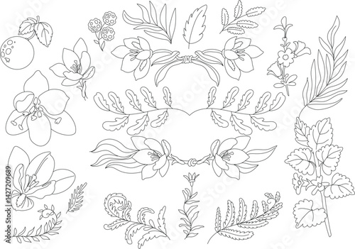 Vector hand drawn set of various silhouette branches with leaves in outline technique on the white background.Monochrome floral elements, plant parts vector sketch