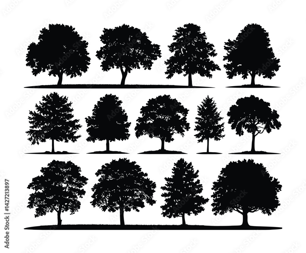 Fototapeta premium Elegant Ash Tree Silhouette Collection Vector Template