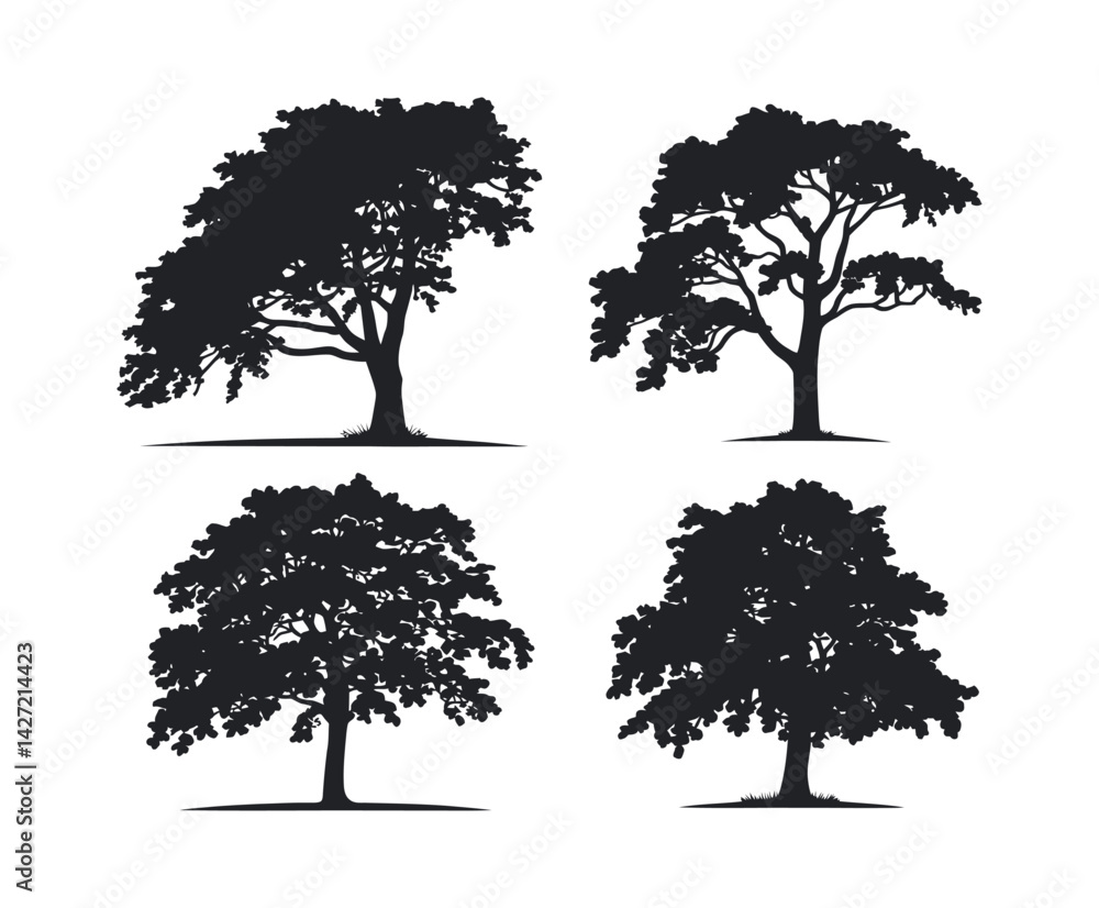 Fototapeta premium Simple Ash Tree Silhouette Illustration Set