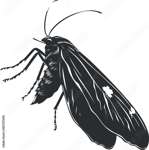 A detailed black and white illustration of a moth showcasing its wings and body structure.