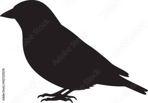 Brambling Bird Silhouette Perched on Branch