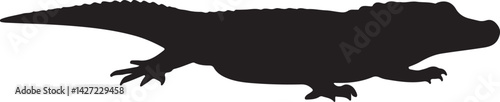 Caiman lizard vector silhouette on white background