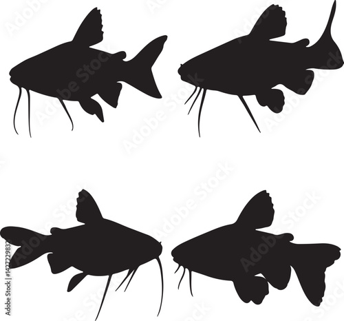 Catfish vector silhouette on white background