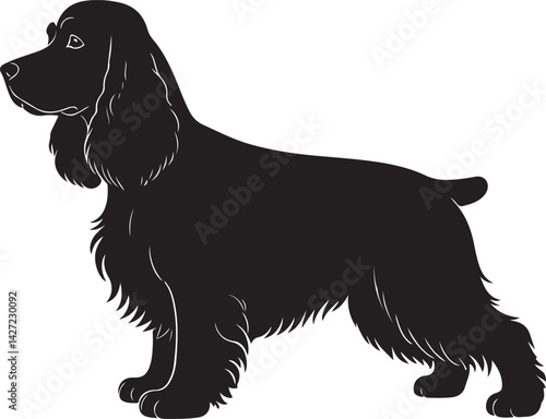 Cocker Spaniel vector silhouette on white background