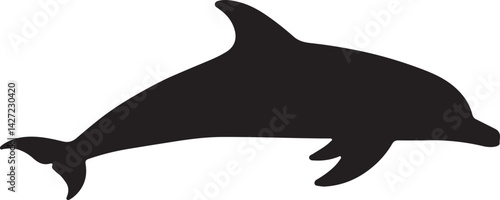 Dolphin vector silhouette on white background