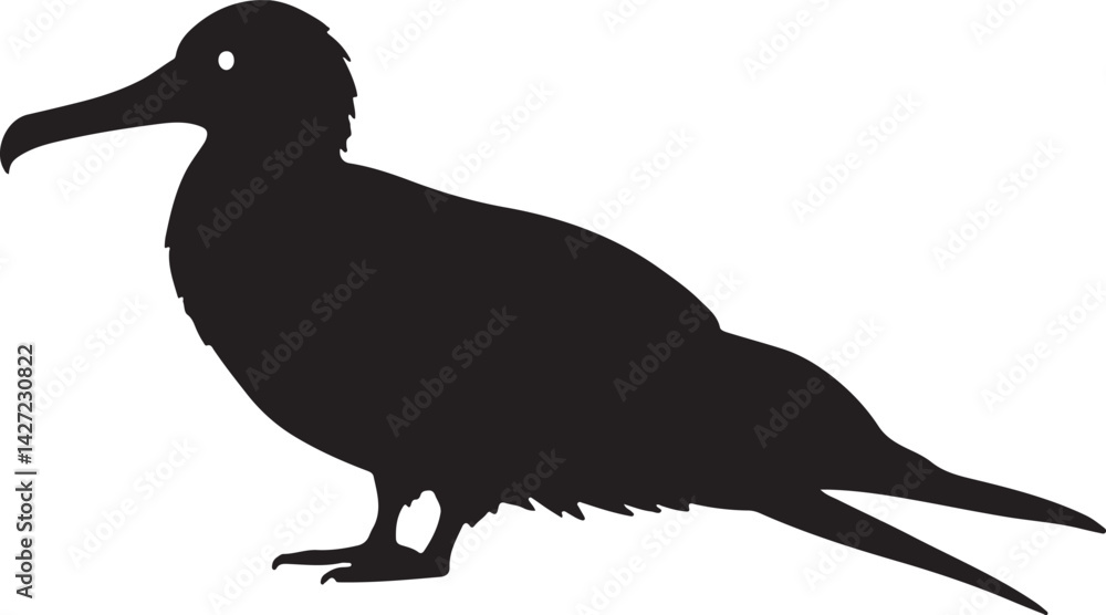 Fototapeta premium Frigatebird vector silhouette on white background