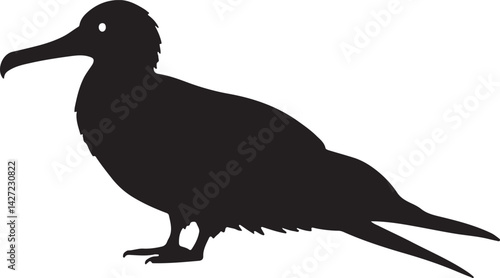 Frigatebird vector silhouette on white background