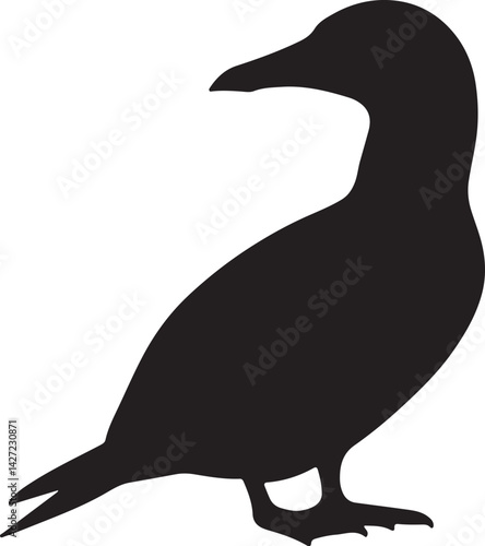 Gannet Vector Silhouette