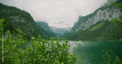 Mountain lake surrounded by lush greenery in Gosau Austria, with plants framing the foreground