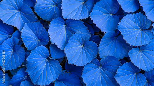 Vibrant Blue Leaves Pattern Background