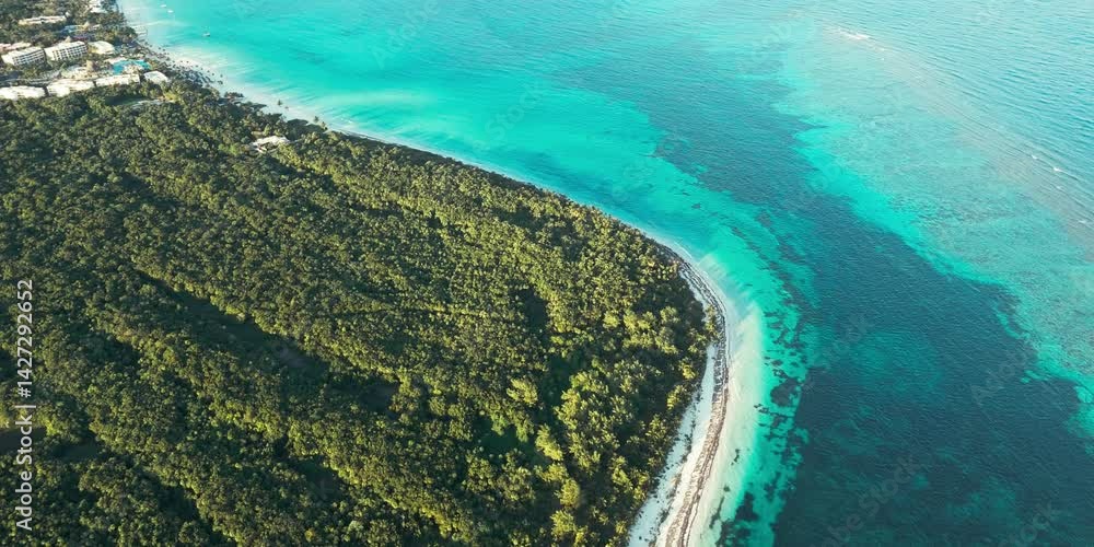 Vista aérea de una hermosa playa con agua azul turquesa en la Riviera Maya, toma aérea de drone volando sobre la costa de una playa paradisíaca en el Caribe