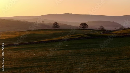 Yorkshire Dales at Dawn: Rolling Green Hills, Sheep, and Dry Stone Walls Near Grassington and Burnsall