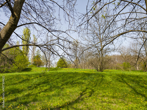 Obraz na płótnie Spring Landscape of South Park in city of Sofia, Bulgaria w salonie