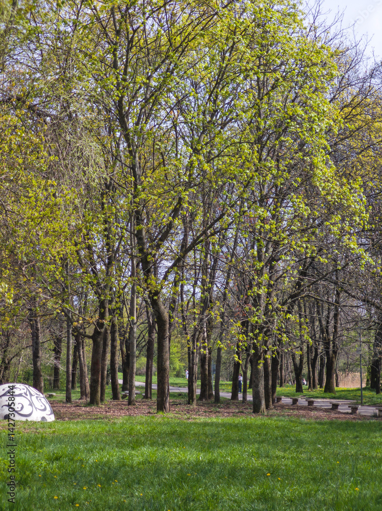Spring Landscape of South Park in city of Sofia, Bulgaria