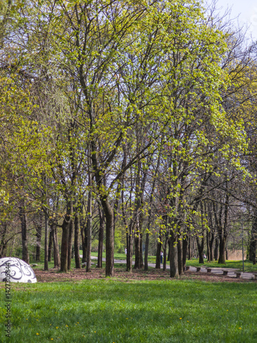 Obraz na płótnie Spring Landscape of South Park in city of Sofia, Bulgaria w salonie