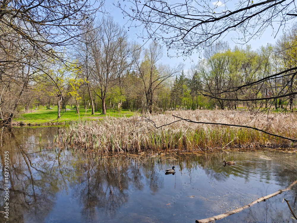 Spring Landscape of South Park in city of Sofia, Bulgaria