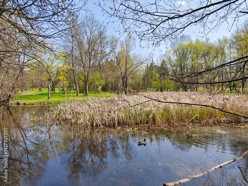Obraz na płótnie Spring Landscape of South Park in city of Sofia, Bulgaria w salonie