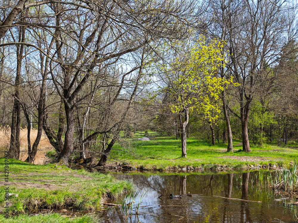 Spring Landscape of South Park in city of Sofia, Bulgaria