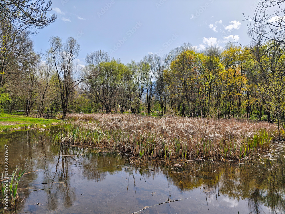Spring Landscape of South Park in city of Sofia, Bulgaria