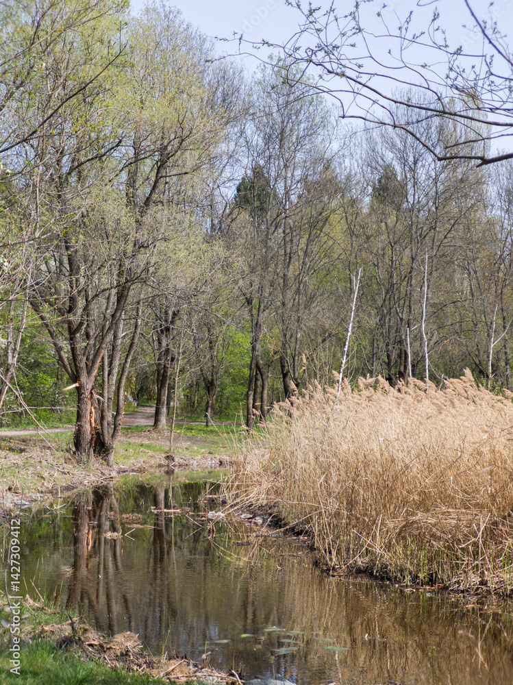 Spring Landscape of South Park in city of Sofia, Bulgaria
