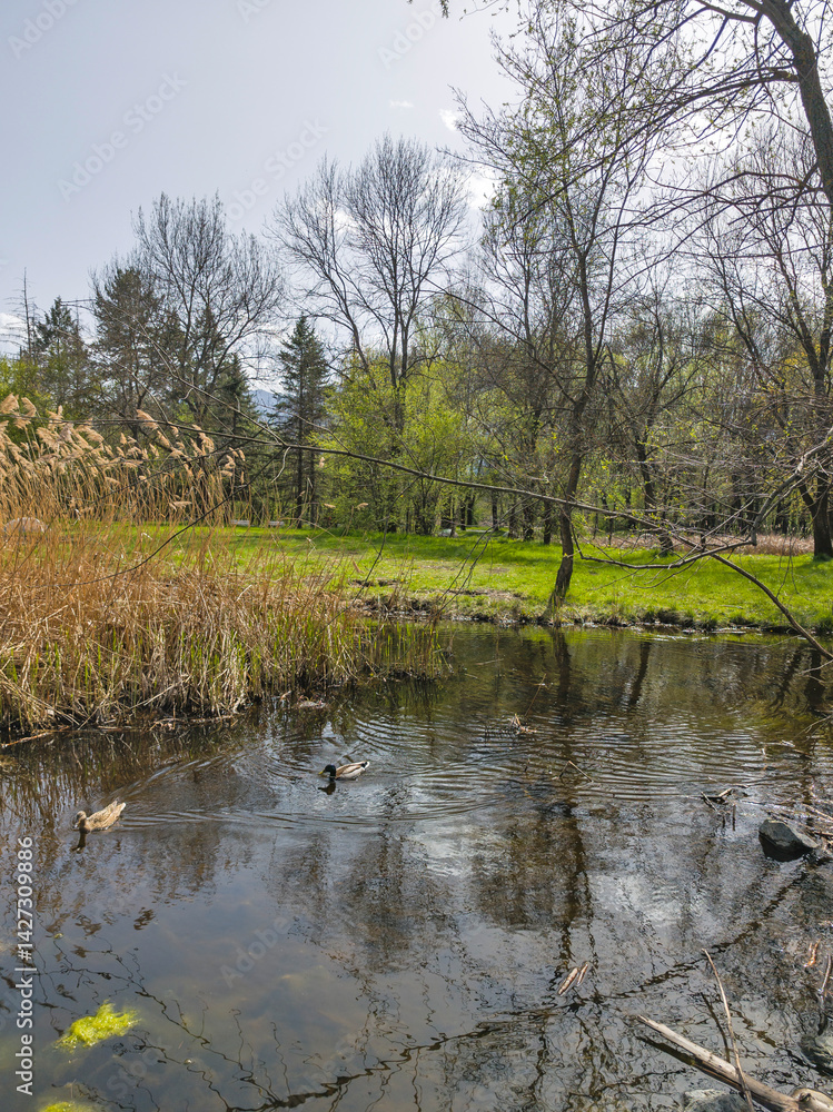 Spring Landscape of South Park in city of Sofia, Bulgaria