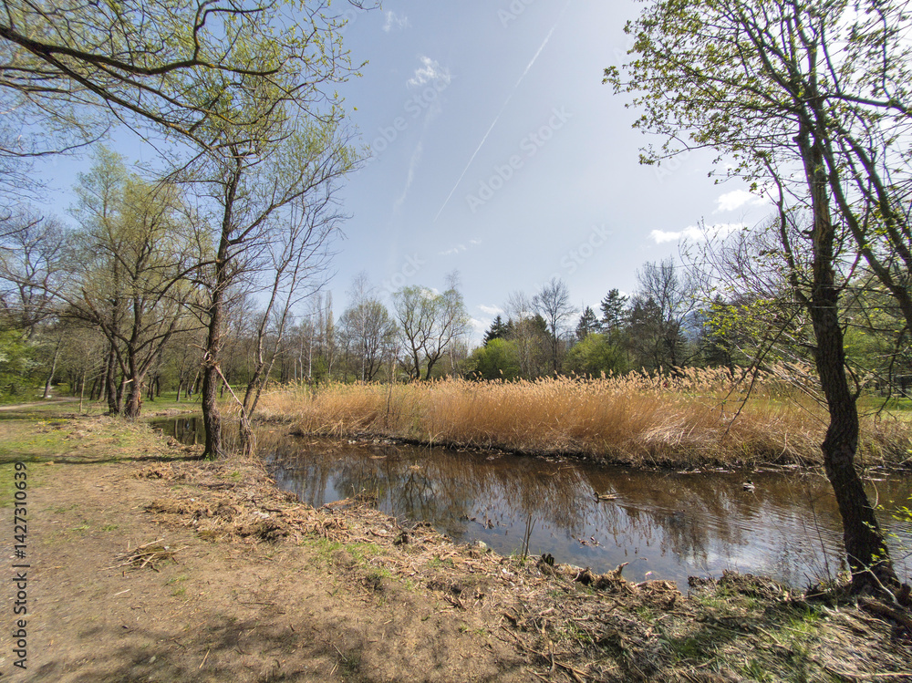 Spring Landscape of South Park in city of Sofia, Bulgaria