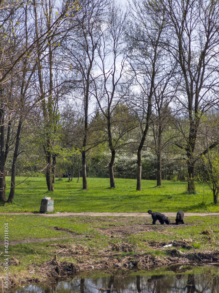 Spring Landscape of South Park in city of Sofia, Bulgaria