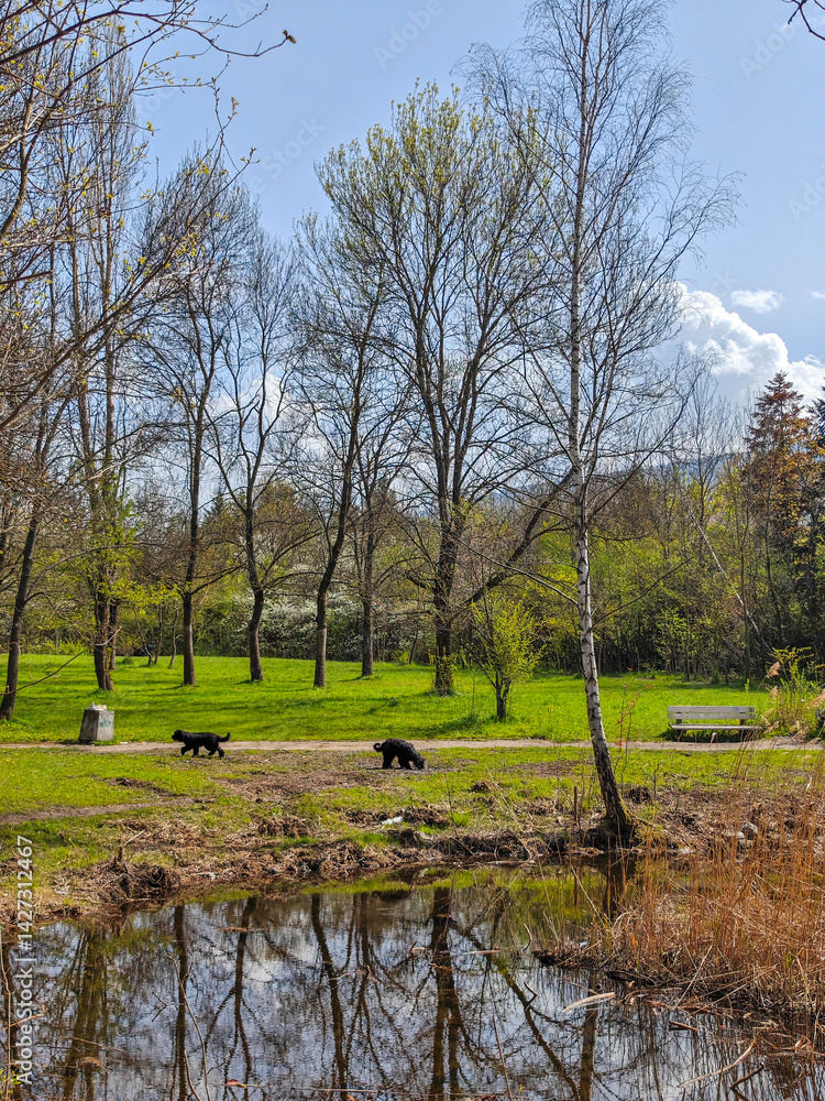 Spring Landscape of South Park in city of Sofia, Bulgaria