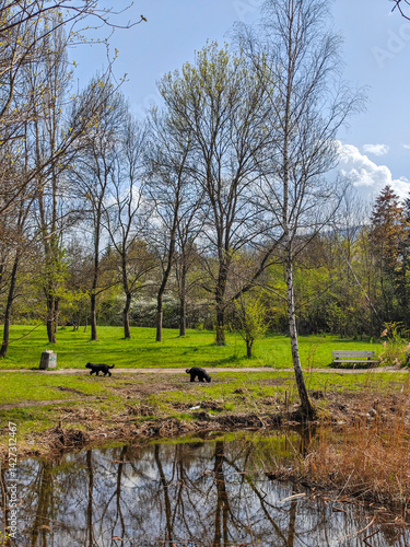 Obraz na płótnie Spring Landscape of South Park in city of Sofia, Bulgaria w salonie