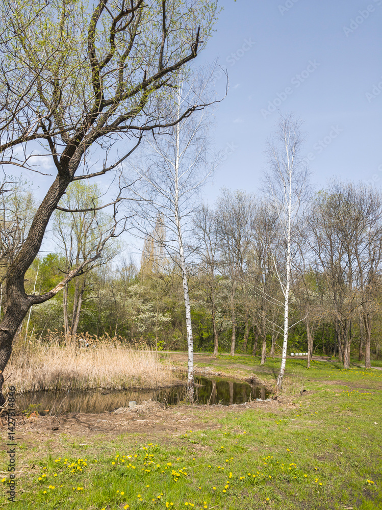 Spring Landscape of South Park in city of Sofia, Bulgaria
