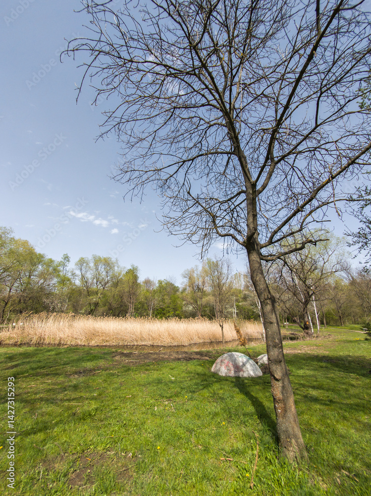 Spring Landscape of South Park in city of Sofia, Bulgaria