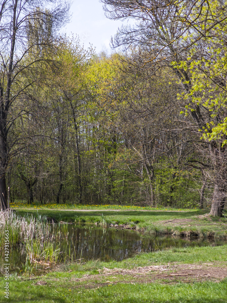 Spring Landscape of South Park in city of Sofia, Bulgaria
