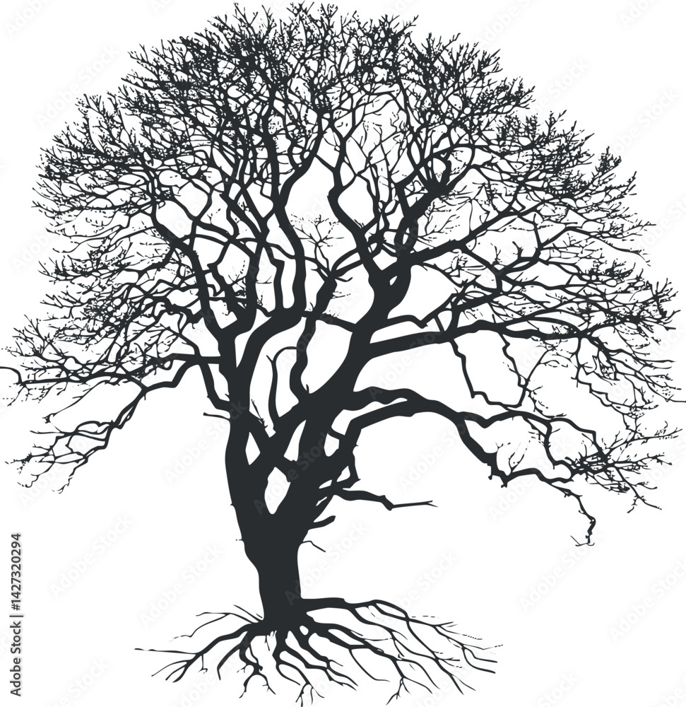 Fototapeta premium A detailed silhouette of a leafless tree showcasing intricate branches and roots.