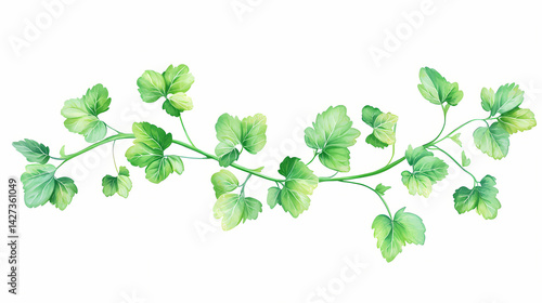 Glimmering mint stems isolated on a white background for freshness and flavor. Glimmer Stem. Illustration