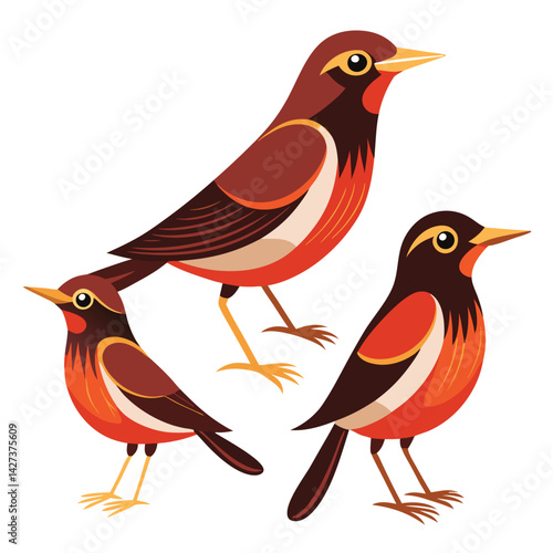 Thrush birds set isolated shilhotee vector on white background