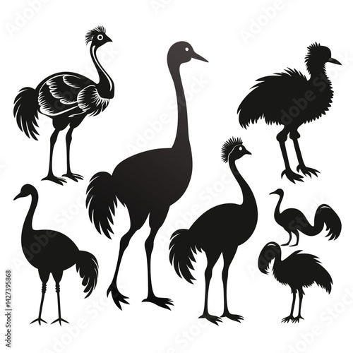 Emu birds set isolated shilhotee vector on white background