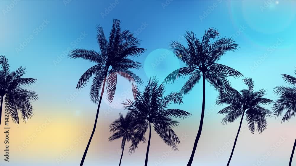 Animated palm trees moving in the wind Animated palm trees moving in the wind