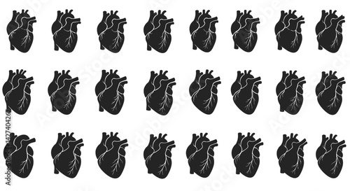 Anatomical heart vector silhouette icon set. heartbeat, cardiovascular, anatomy, medical, health, cardiology illustration, biology, organ, human heart collection