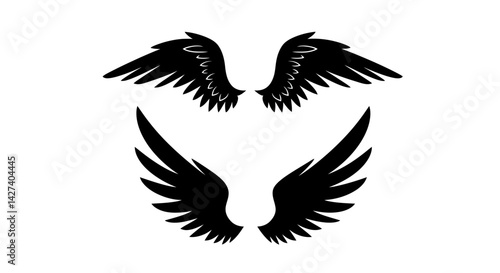 Two contrasting pairs of soaring wings