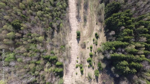 Aerial view of a forest road covered with a wooden deck, a causeway on a logging road