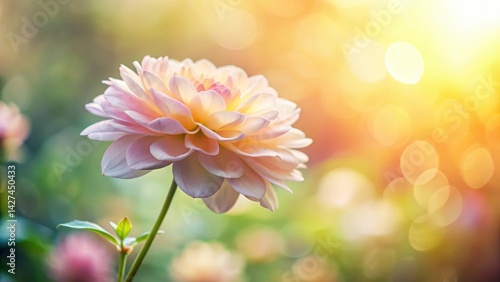 Gentle morning sunlight warms a delicate petal as it slowly unfurls its soft, pastel pink and yellow hues against a blurred floral background , Morning Sunlight, Floral Background