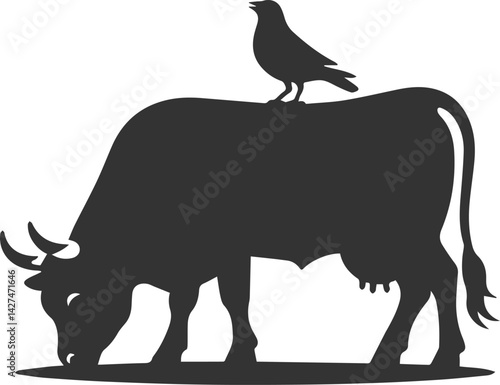 Angus cattle grazing silhouette