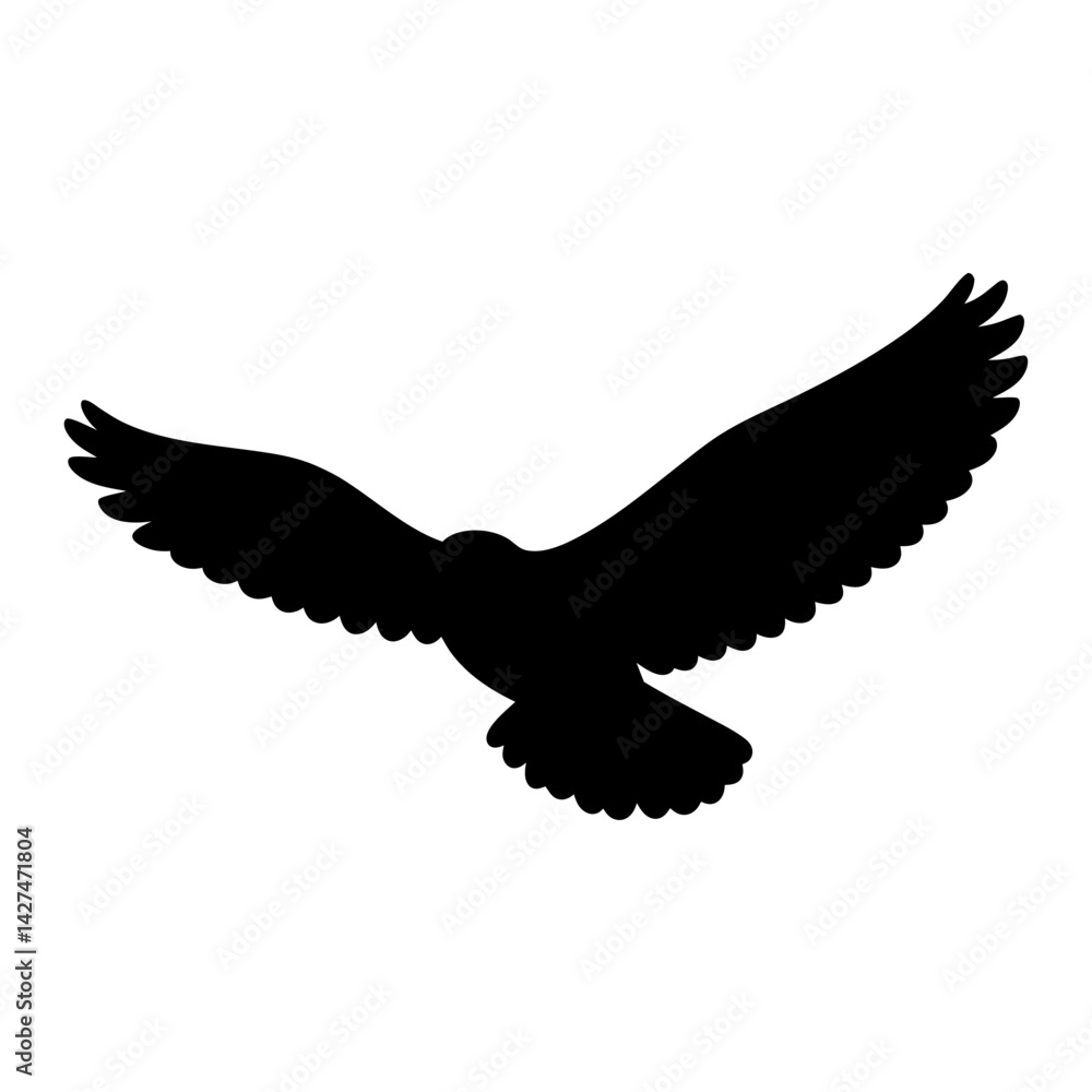 Obraz premium Black Silhouette of a bird in flight with open wings gliding