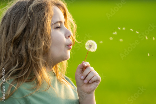 Obraz na płótnie The child blows a dandelion. Kid play with dandelions on spring field. The child dreams. Kid enjoys the spring and blows dandelion seeds. Child on the summer meadow. The kid is blowing a dandelion. w salonie