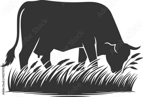 Angus cattle grazing silhouette