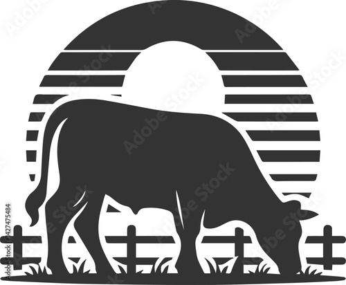 Angus cattle grazing silhouette