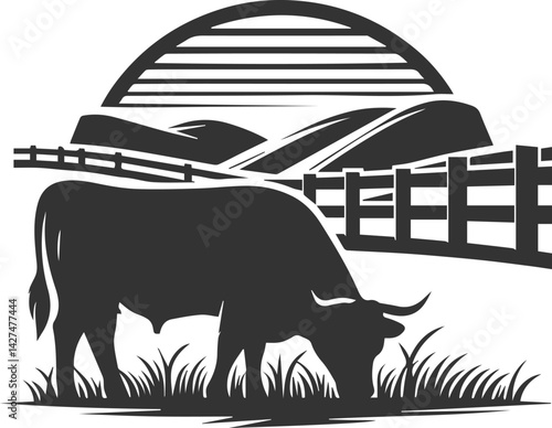Angus cattle grazing silhouette