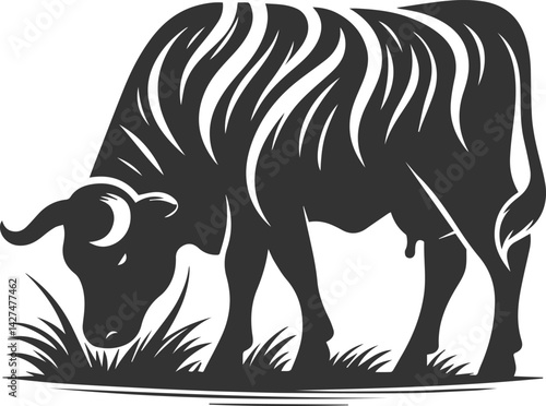 Angus cattle grazing silhouette